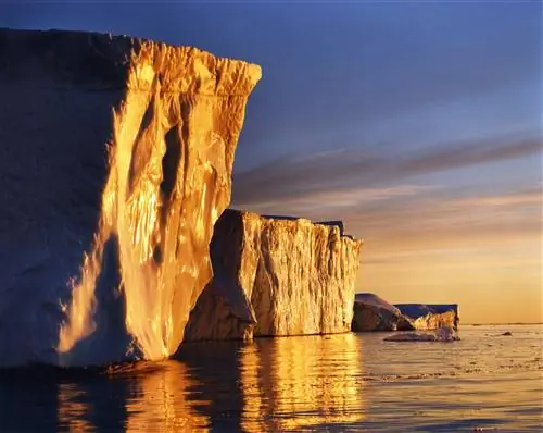 Лед в заливе Диско в Гренландии блестит там, где на него падает низкое арктическое солнце. Лед Гренландии имеет