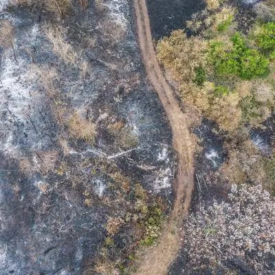 26 изображений опустошения и надежды: Часть I