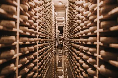 Настоящий характер Comté - его фруктовые, ореховые ноты и оттенки желтого цвета лютика - исходит из погребов.