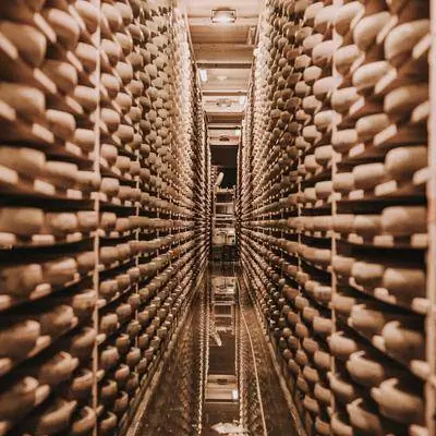 На Млечном Пути: открытие молочной фермы во французских горах Юра