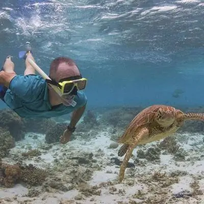 Знакомьтесь: Питер Гэш из эко-курорта Lady Elliot Island