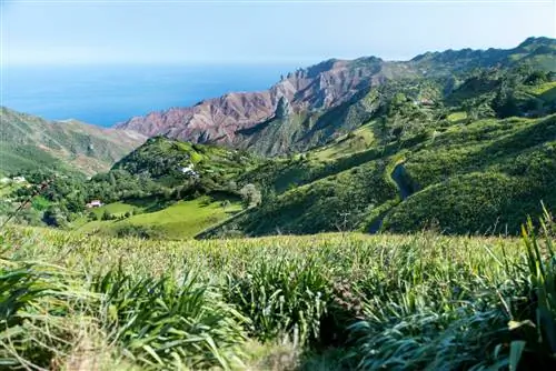 Удаленный вулканический остров Святой Елены в Южной Атлантике, входящий в состав британской заморской территории, также включает