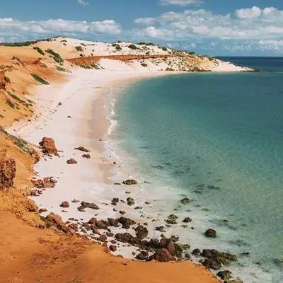 Изучение кораллового побережья Западной Австралии