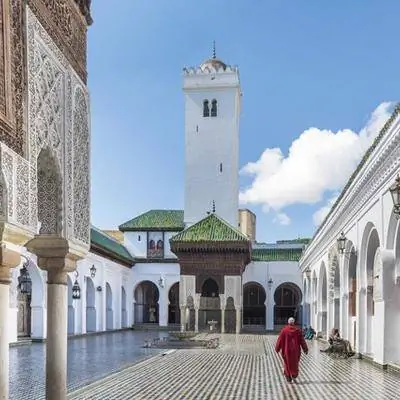 Открытая книга: Возрождение Феса