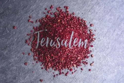 Вкус Иерусалима