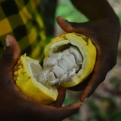 Сан-Томе и Принсипи: шоколадные острова