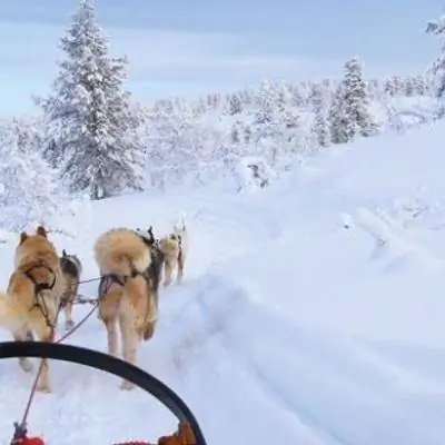 Семейное путешествие: Рануа, Финляндия