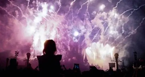 Финал фейерверка в парижском Диснейленде