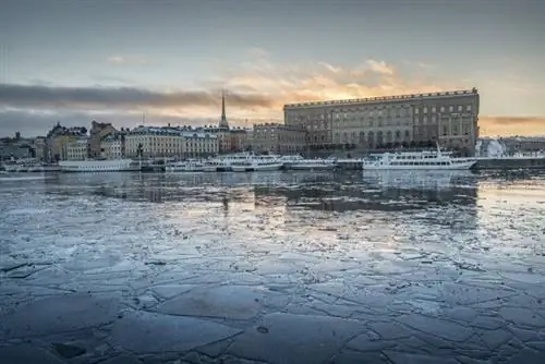 Глядя на Королевский дворец на Гамла Стан. Изображение: Диана Джарвис