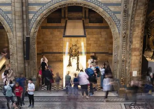 Толпы людей кружатся вокруг скелета мантеллизавра в Хинтце-холле, главной лондонской галерее естественной истории.