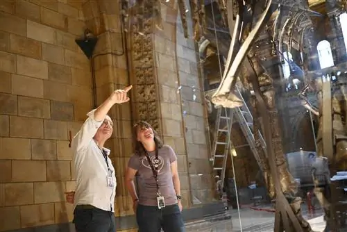 Сьюзи Мейдмент и Марк Грэм рассматривают процесс разборки.