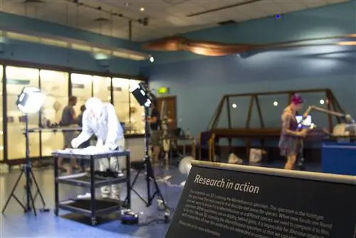 В публичной галерее морских беспозвоночных, под пристальным взглядом модели гигантского кальмара,