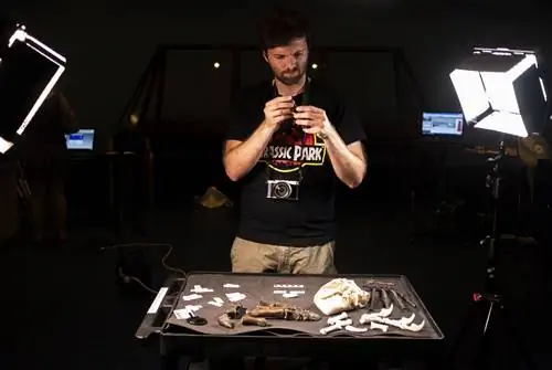 Жоао Лейте исследует кости рук мантеллиозавра. Тщательное изучение отдельных костей позволяет ему сделать вывод