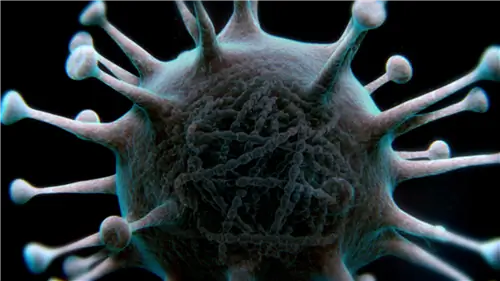 Что такое вирус?