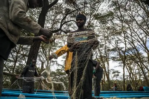 Рыбаки распутывают сети на пляже Карагита на озере Найваша.