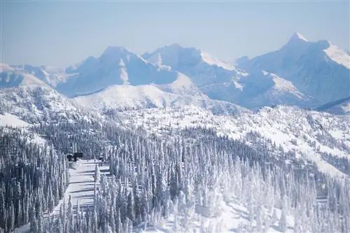 Горнолыжный курорт Уайтфиш - это курорт площадью 3000 акров с 14 подъемниками, который находится выше