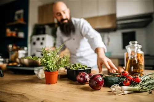 От глубокого погружения в азиатскую кухню и культуру в Take a Bao до комедийных шуток в Ed