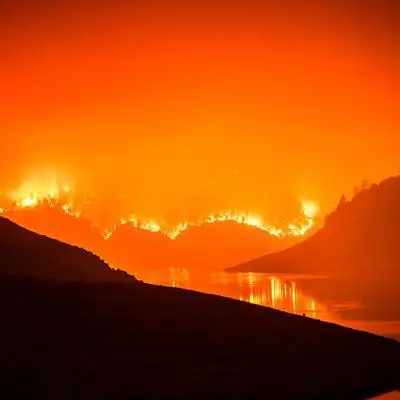 Необычные фотографии года: протесты, пандемия и лесные пожары