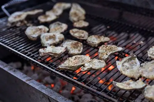 От Тампы всего в нескольких минутах езды до Мексиканского залива, места размножения