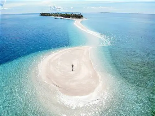 Рядом с северной оконечностью Себу рифы вокруг Малапаскуа широко известны как лучшие