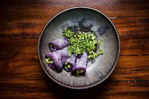 Тарелка вяленого мяса аллигатора с андским огурцом.