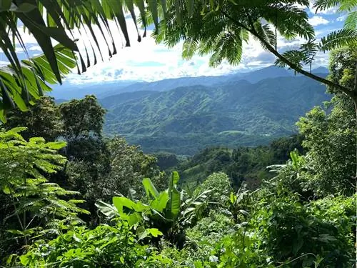 Изрезанная система рек и хребтов гармонирует с отдаленными районами южных штатов Ассам и Манипур.