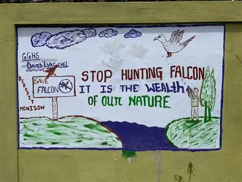 Деревенский знак предостерегает от охоты на перелетных амурских соколов, насиживающих холмы Манипура.