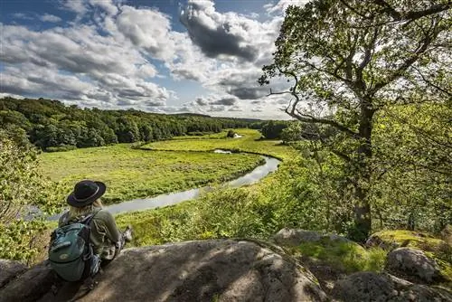 Купание в лесу - это погружение в природу, прочувствование ее всеми органами чувств.