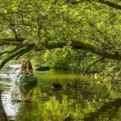 Пешие прогулки, гребля и приготовление пищи на свежем воздухе: откройте для себя купание в лесу в шведском регионе Сконе