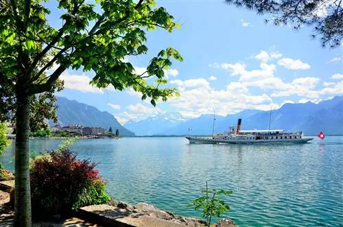 Флот Belle Epoque, Женевское озеро