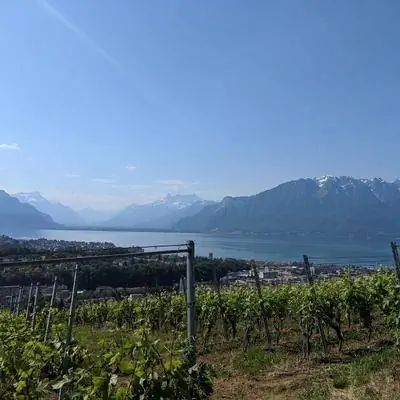 На велосипеде по террасным виноградникам Лаво