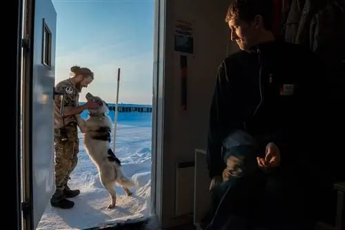 Джеспер Юул Хансен, руководитель станции в то время, здоровается с Трилле, одним из резидентов станции.
