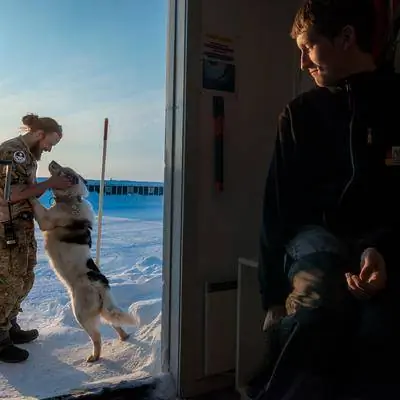 На этой арктической научной базе жизнь совсем не одинока