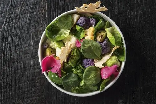 Салат в Dirty Candy