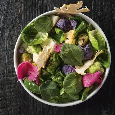 Веганство: всемирный поиск растительного совершенства