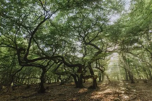 Зона природы и отдыха Skryllegården