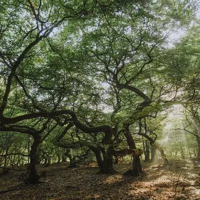 Отправляйтесь в путь на юге Швеции