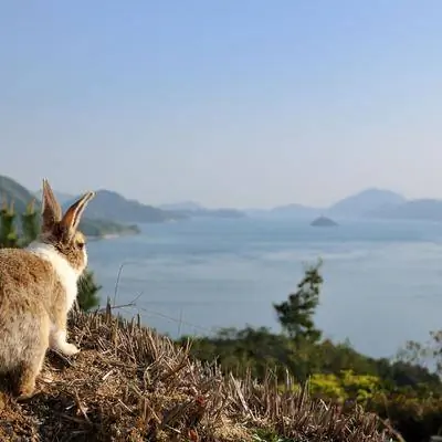 Культурные туры в Сетоути