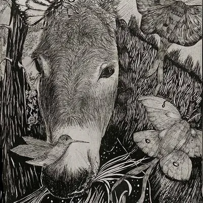 Почему животные несут уроки жизни, а не только груз