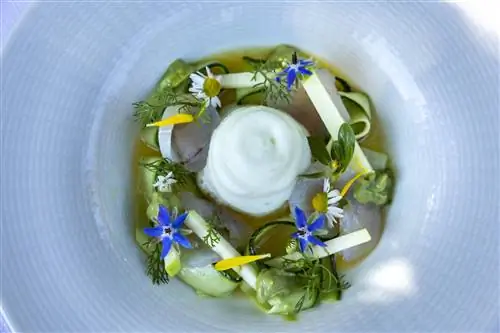 Блюдо из ресторана Gusteau в Маде