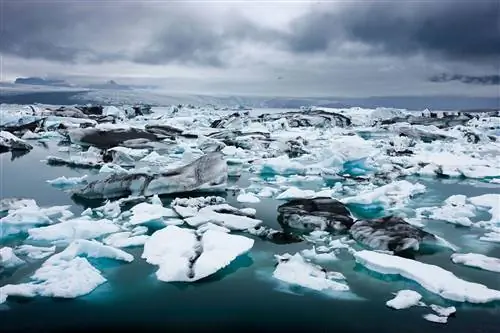 Исландский ледник Breiðamerkurjökull тает. И местные жители могут потерять больше, чем некоторые даже думают.