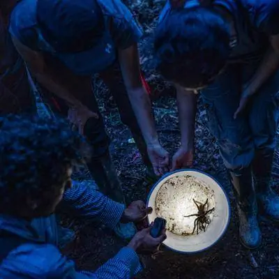 После десятилетий войны эти джунгли теперь открыты для исследования