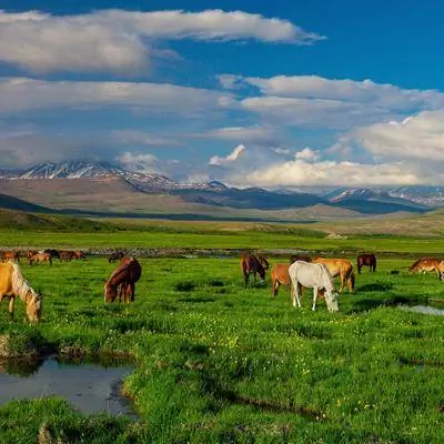 Самые дикие и красивые места Пакистана