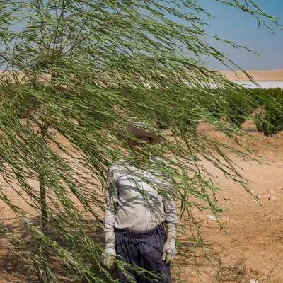 Фотографии потускневшего драгоценного камня Ирана 2