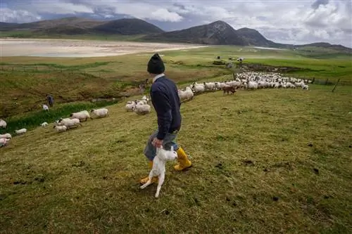 Жизнь на грани