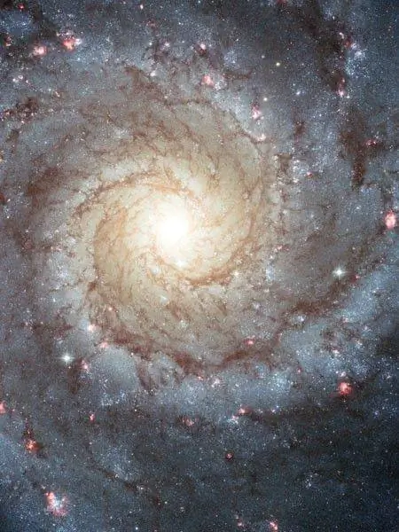 На этом изображении галактики Водоворот показаны классические черты спиральной галактики: изогнутая внешняя