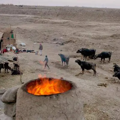 Изменение климата и нехватка воды привели к вербовке ИГИЛ в Ираке