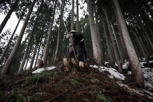 Хидео-сан - один из лидеров сообщества Animatagi. Он одет в традиционную одежду