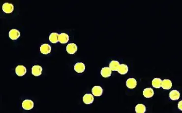 Track & Сегментируйте свой путь к более точному показателю отказов