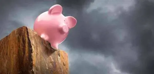 фискальная свинья